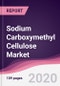 Sodium Carboxymethyl Cellulose Market - Forecast (2020 - 2025) - Product Thumbnail Image