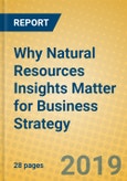 Why Natural Resources Insights Matter for Business Strategy- Product Image