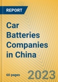 Car Batteries Companies in China- Product Image