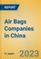 Air Bags Companies in China - Product Image