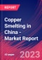 Copper Smelting in China - Industry Market Research Report - Product Thumbnail Image