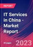IT Services in China - Industry Market Research Report- Product Image