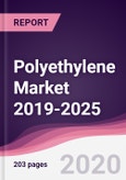 Polyethylene Market 2019-2025- Product Image