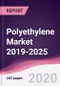 Polyethylene Market 2019-2025 - Product Thumbnail Image