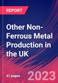 Other Non-Ferrous Metal Production in the UK - Industry Market Research Report- Product Image
