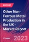 Other Non-Ferrous Metal Production in the UK - Industry Market Research Report - Product Thumbnail Image