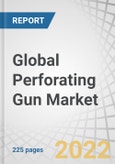 Global Perforating Gun Market by Gun Type (Through Tubing Hollow Carrier & Exposed, Wireline Conveyed Casing, TCP), Well Type (Horizontal, Vertical), Application (Onshore, Offshore), Pressure, Depth, Type, Orientation, Explosives, Region - Forecast to 2027- Product Image