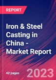 Iron & Steel Casting in China - Industry Market Research Report- Product Image
