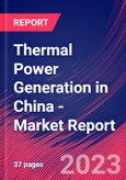 Thermal Power Generation in China - Industry Market Research Report- Product Image