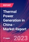 Thermal Power Generation in China - Industry Market Research Report - Product Image