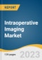 Intraoperative Imaging Market Size, Share & Trends Analysis Report by Product (iCT, iUltrasound, iMRI, and C-arm), by Application (Neurosurgery, Orthopedic Surgery), by End-Use (Hospital and Others), by Region and Segment Forecasts, 2018-2030 - Product Image