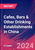 Cafes, Bars & Other Drinking Establishments in China - Industry Market Research Report- Product Image