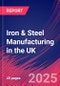 Iron & Steel Manufacturing in the UK - Market Research Report 2015-2030 - Product Thumbnail Image