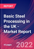 Basic Steel Processing in the UK - Industry Market Research Report- Product Image