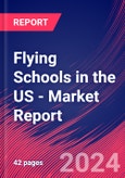 Flying Schools in the US - Industry Market Research Report- Product Image