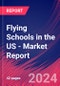 Flying Schools in the US - Industry Market Research Report - Product Thumbnail Image
