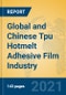 Global and Chinese Tpu Hotmelt Adhesive Film Industry, 2021 Market Research Report - Product Thumbnail Image