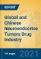Global and Chinese Neuroendocrine Tumors Drug Industry, 2021 Market Research Report - Product Thumbnail Image