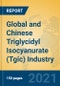 Global and Chinese Triglycidyl Isocyanurate (Tgic) Industry, 2021 Market Research Report - Product Thumbnail Image
