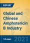 Global and Chinese Amphotericin B Industry, 2021 Market Research Report - Product Thumbnail Image
