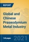 Global and Chinese Praseodymium Metal Industry, 2021 Market Research Report - Product Thumbnail Image