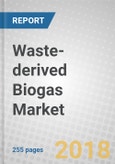 Waste-derived Biogas: Global Markets for Anaerobic Digestion Equipment- Product Image
