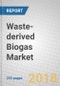 Waste-derived Biogas: Global Markets for Anaerobic Digestion Equipment - Product Thumbnail Image