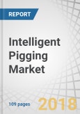 Intelligent Pigging Market by Technology (Magnetic Flux Leakage, Ultrasonic, Caliper), Application (Metal Loss/Corrosion Detection, Geometry Measurement & Bend Detection, Crack & Leak Detection), Pipeline Type (Gas, Liquid) - Global Forecast to 2023- Product Image