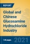 Global and Chinese Glucosamine Hydrochloride Industry, 2021 Market Research Report - Product Thumbnail Image