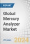 Global Mercury Analyzer Market by Type (Cold Vapor Atomic Absorption and Cold Vapor Atomic Fluorescence), Monitoring Type (Continuous and Lab), End-Use Industry (Environmental Monitoring, Food Industry) and Region - Forecast to 2029 - Product Image