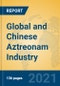 Global and Chinese Aztreonam Industry, 2021 Market Research Report - Product Thumbnail Image