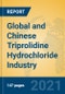 Global and Chinese Triprolidine Hydrochloride Industry, 2021 Market Research Report - Product Thumbnail Image