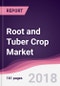 Root and Tuber Crop Market: By Type; By Application - Forecast 2018 to 2023 - Product Thumbnail Image