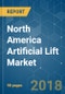 North America Artificial Lift Market - Growth, Trends, and Forecast (2018 - 2023) - Product Thumbnail Image