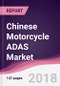 Chinese Motorcycle ADAS Market: By System; By Channel - Forecast 2017-2023 - Product Thumbnail Image