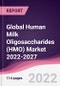 Global Human Milk Oligosaccharides (HMO) Market 2022-2027 - Product Thumbnail Image