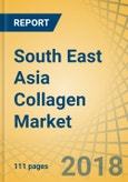 South East Asia Collagen Market - Opportunity Analysis and Industry Forecast (2018-2023)- Product Image
