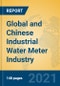 Global and Chinese Industrial Water Meter Industry, 2021 Market Research Report - Product Image