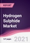 Hydrogen Sulphide Market - Product Thumbnail Image