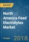 North America Feed Electrolytes Market - Segmented by Type, Animal Type and Geography - Growth, Trends, and Forecast (2018 - 2023) - Product Thumbnail Image