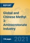 Global and Chinese Methyl 3-Aminocrotonate Industry, 2021 Market Research Report - Product Thumbnail Image