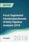 Focal Segmental Glomerulosclerosis (FSGS) Pipeline Analysis 2018 - Focusing on Clinical Trials and Results, Drug Profiling, Patents, Collaborations, and Other Recent Developments - Product Thumbnail Image