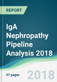 IgA Nephropathy Pipeline Analysis 2018 - Focusing on Clinical Trials and Results, Drug Profiling, Patents, Collaborations, and Other Developments- Product Image
