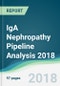 IgA Nephropathy Pipeline Analysis 2018 - Focusing on Clinical Trials and Results, Drug Profiling, Patents, Collaborations, and Other Developments - Product Thumbnail Image
