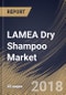LAMEA Dry Shampoo Market Analysis (2017-2023) - Product Thumbnail Image