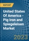 United States Of America - Pig Iron and Spiegeleisen - Market Analysis, Forecast, Size, Trends and Insights - Product Image