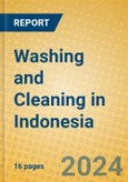 Washing and Cleaning in Indonesia: ISIC 9301- Product Image