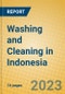 Washing and Cleaning in Indonesia: ISIC 9301 - Product Image