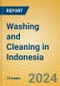 Washing and Cleaning in Indonesia: ISIC 9301 - Product Image