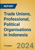 Trade Unions, Professional, Political Organisations in Indonesia: ISIC 91- Product Image